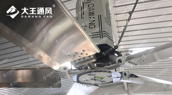 百世某分揀中心大型工業(yè)吊扇