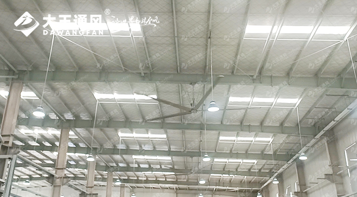 大王通風(fēng)攜手維通利電氣：告別炎熱困擾，釋放清涼一夏！