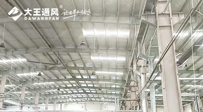 大王通風(fēng)攜手維通利電氣：告別炎熱困擾，釋放清涼一夏！