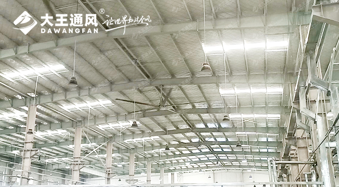 大王通風(fēng)攜手維通利電氣：告別炎熱困擾，釋放清涼一夏！