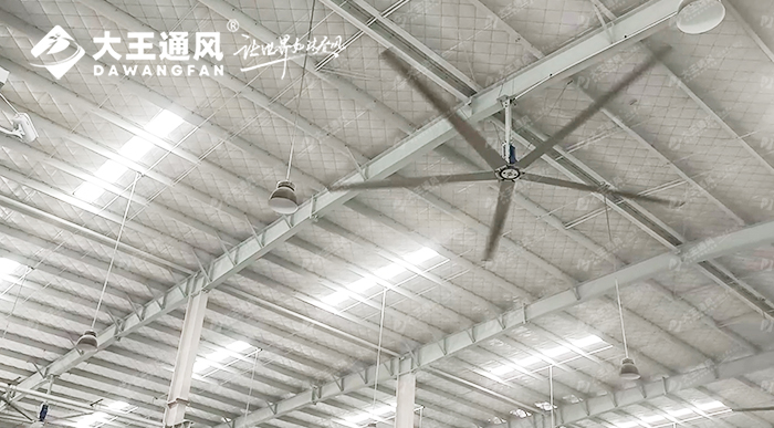 大王通風(fēng)攜手維通利電氣：告別炎熱困擾，釋放清涼一夏！