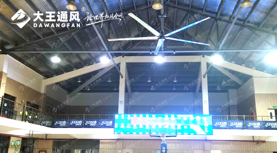大王風扇亮相錦天體育，打造舒適運動環(huán)境，運動達人熱薦?。?！